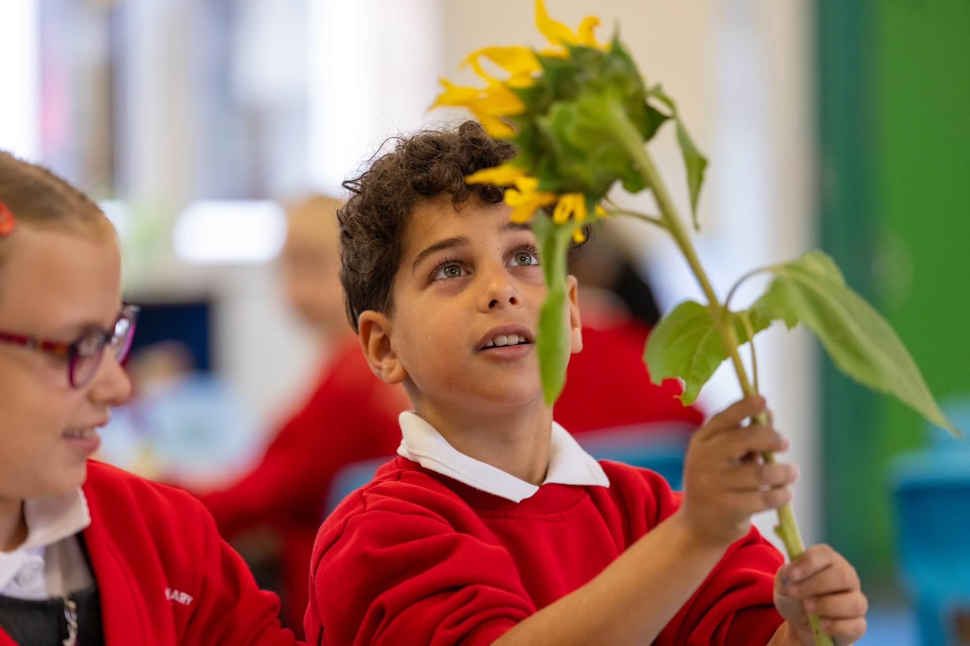 Awe and Wonder Awe and Wonder